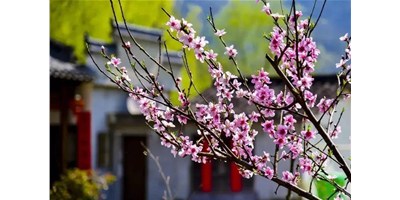 陽春三月，臺群精機一大波展會即將來襲，您準備好了嗎？